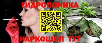 каннабис Малгобек