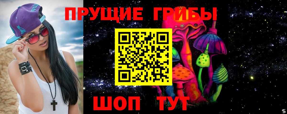 Псилоцибиновые грибы прущие грибы  Вход с VPN  Псилоцибиновые грибы Psilocybine cubensis  наркота  Гай 