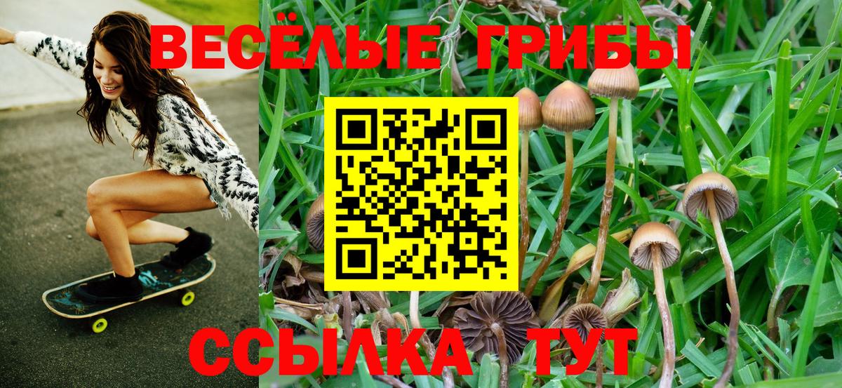 Псилоцибиновые грибы мухоморы Гай